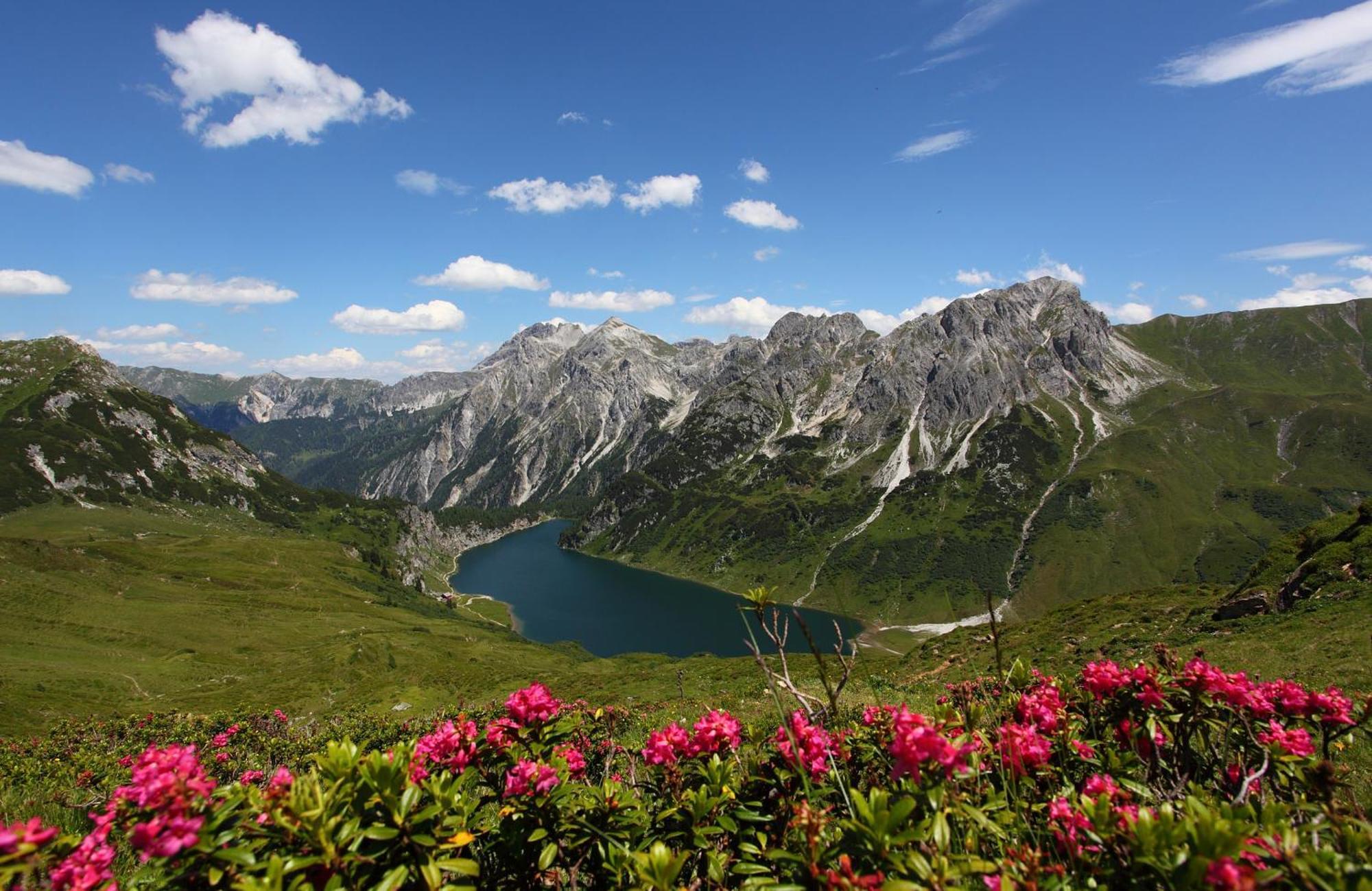 Landhotel Almroesl Im Grossarltal Hüttschlag 外观 照片