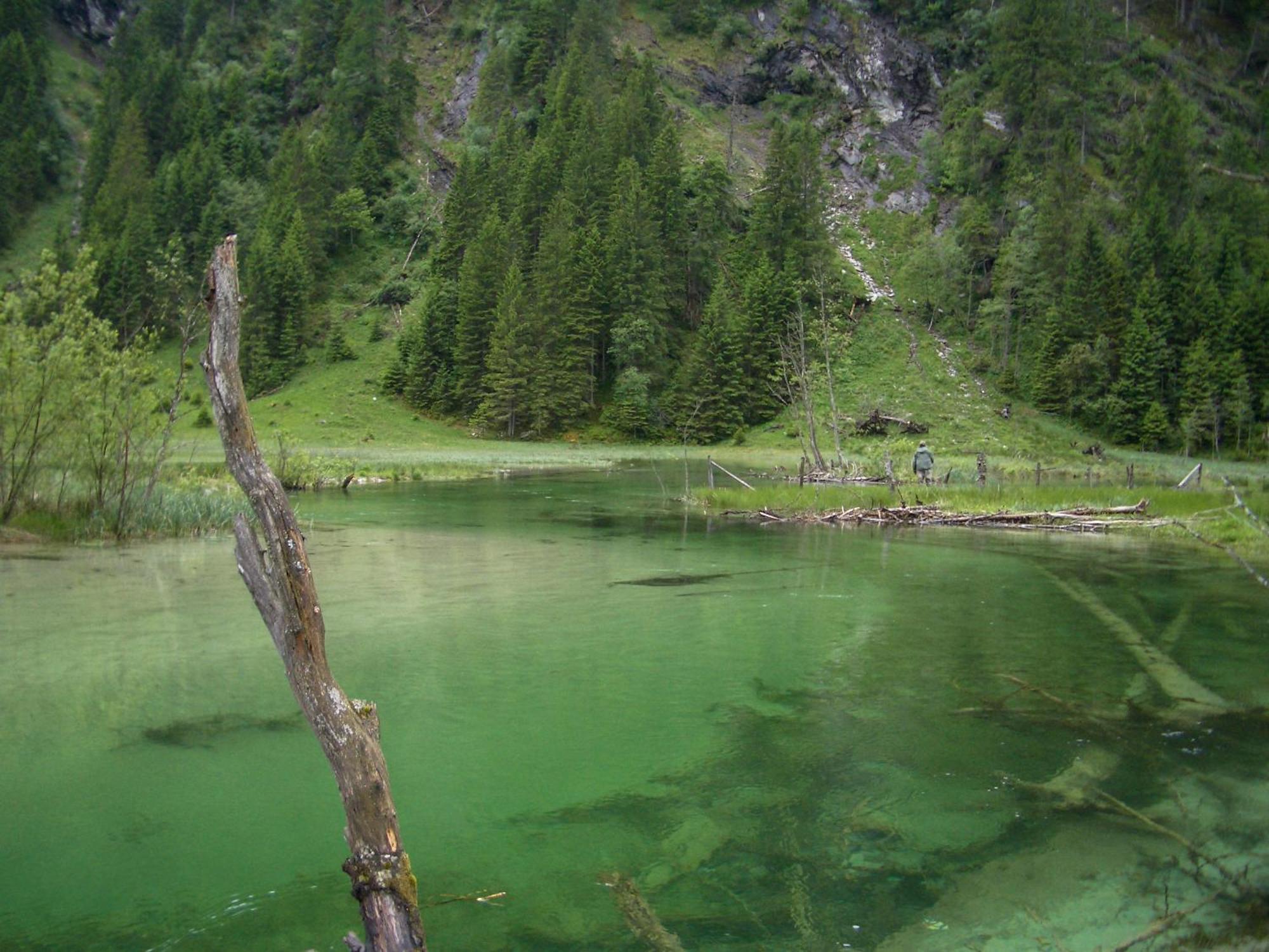Landhotel Almroesl Im Grossarltal Hüttschlag 外观 照片